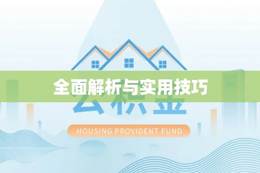 武定全面解析与实用技巧