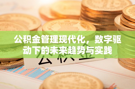 武定公积金管理现代化，数字驱动下的未来趋势与实践