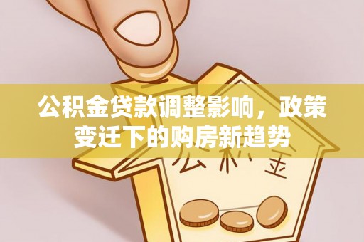 武定公积金贷款调整影响，政策变迁下的购房新趋势