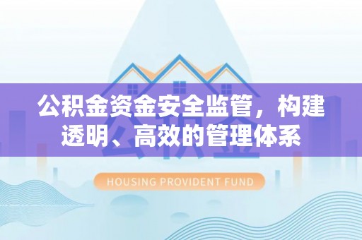 武定公积金资金安全监管，构建透明、高效的管理体系