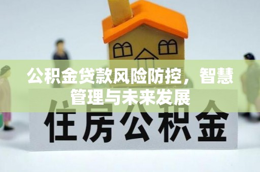 武定公积金贷款风险防控，智慧管理与未来发展