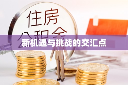 武定新机遇与挑战的交汇点