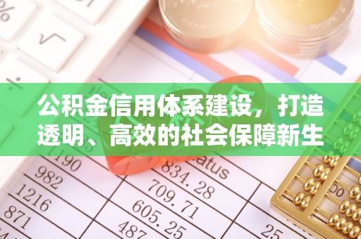 武定公积金信用体系建设，打造透明、高效的社会保障新生态