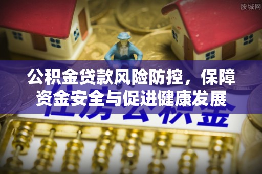 武定公积金贷款风险防控，保障资金安全与促进健康发展