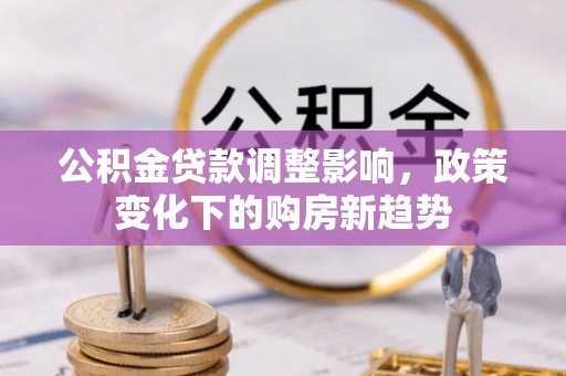 武定公积金贷款调整影响，政策变化下的购房新趋势