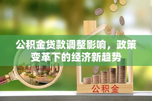 武定公积金贷款调整影响，政策变革下的经济新趋势