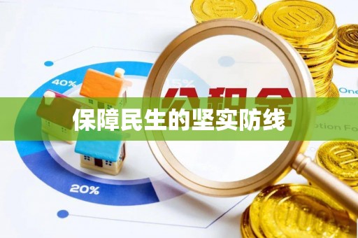 武定保障民生的坚实防线
