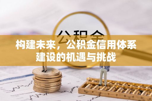 武定构建未来，公积金信用体系建设的机遇与挑战