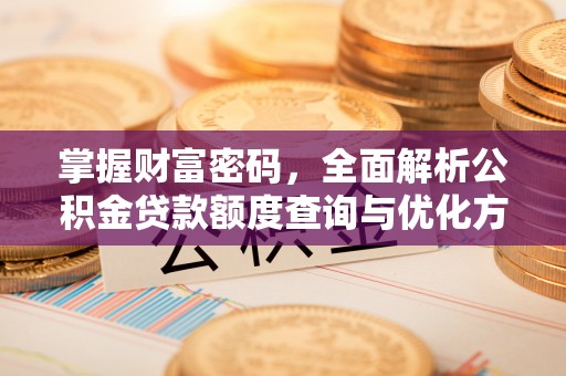 武定掌握财富密码，全面解析公积金贷款额度查询与优化方案