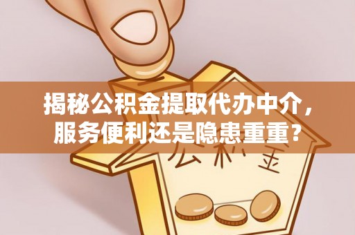 武定揭秘公积金提取代办中介，服务便利还是隐患重重？