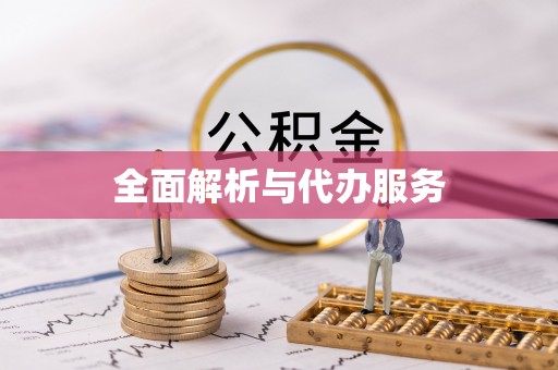 武定全面解析与代办服务