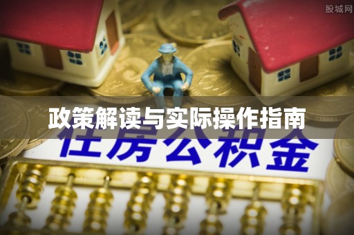 武定政策解读与实际操作指南