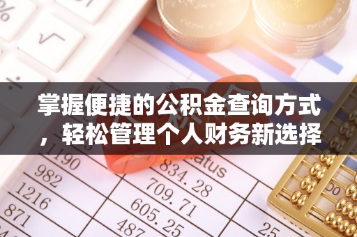 武定掌握便捷的公积金查询方式，轻松管理个人财务新选择