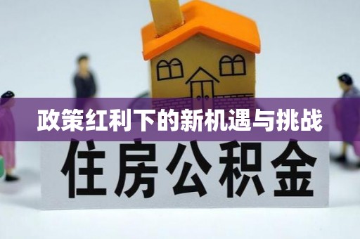 武定政策红利下的新机遇与挑战