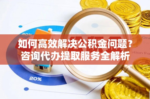 武定如何高效解决公积金问题？咨询代办提取服务全解析
