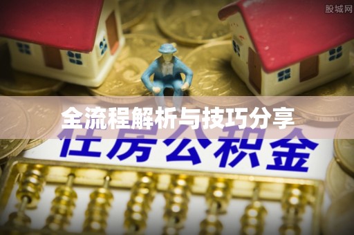 武定全流程解析与技巧分享